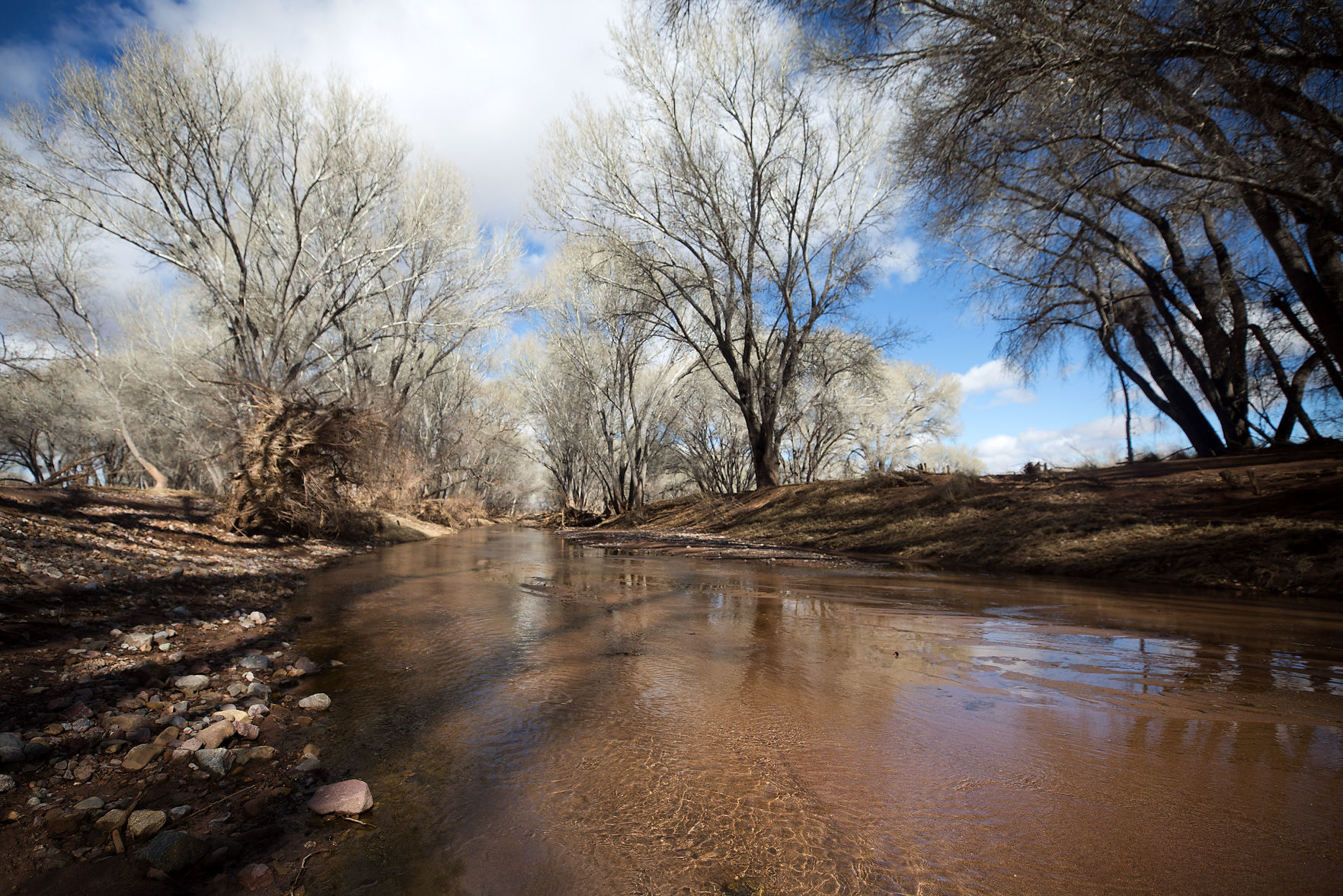 San Pedro River at U.S.-Mexico border